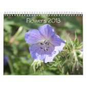 BLUME 2013 KALENDER (16 MONATE) (Titelbild)