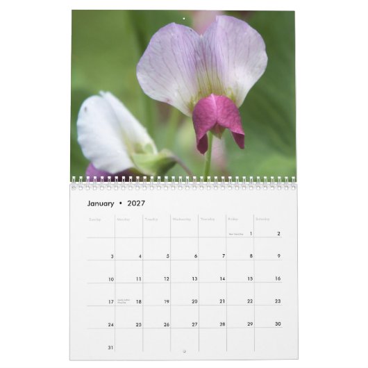 BLUME 2013 KALENDER (16 MONATE) (Jan 2027)