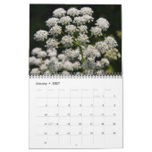 Blume 2015 kalender (Jan 2027)