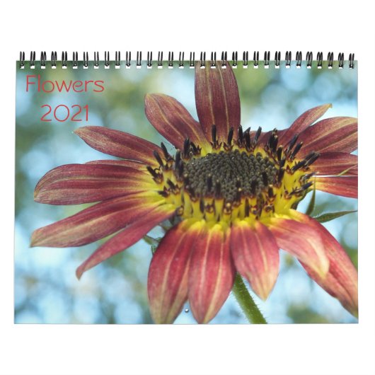 Blume 2021 Kalender (Titelbild)
