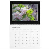 Blume 2022 Monatskalender von Tom Minutolo Kalender (Jan 2027)