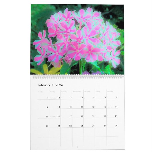 Blume 2023 Mein Rubio Garden Kalender (Feb 2026)