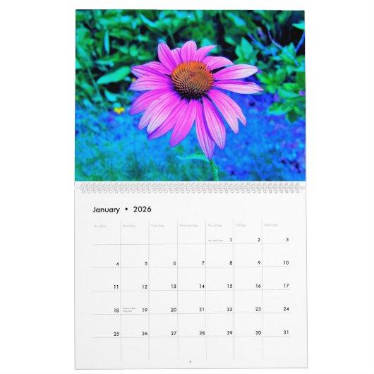 Blume 2023 Mein Rubio Garden Kalender (Jan 2026)