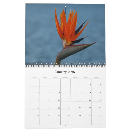 Blume 2025 kalender (Jan 2026)