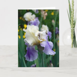 Blume #2090 karte