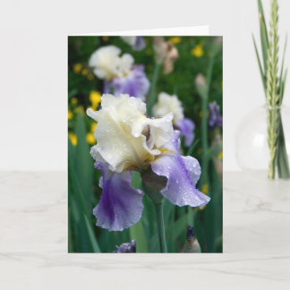 Blume #2090 karte
