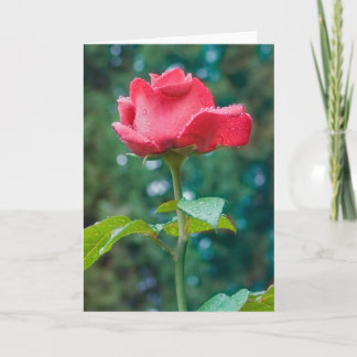 Blume #2092 karte