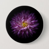 Blume 20 button (Vorderseite)