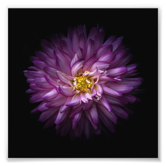 Blume 20 fotodruck (Vorne)