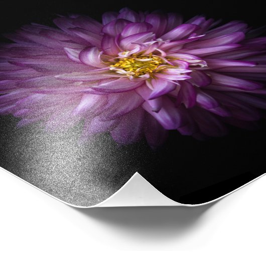 Blume 20 fotodruck (Ecke)