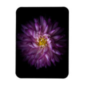 Blume 20 magnet (Vertikal)