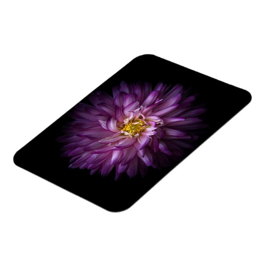 Blume 20 magnet (Linke Seite)