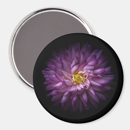 Blume 20 magnet (Vorderseite/Rückseite)