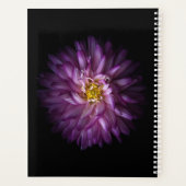 Blume 20 planer (Rückseite)
