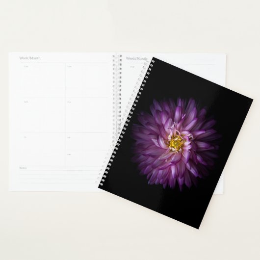 Blume 20 planer (Anzeige)