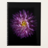 Blume 20 planer (Vorderseite)