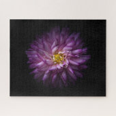 Blume 20 puzzle (Horizontal)