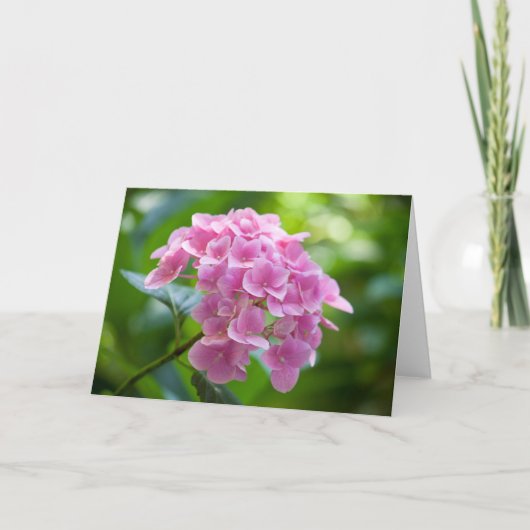 Blume #2453 karte (Vorderseite)