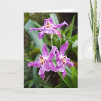 Blume #2770 karte