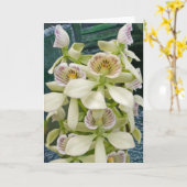 Blume #2817 karte (Gelbe Blume)
