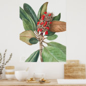 BLUME 2 POSTER (Küche)