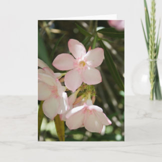 Blume #3363 karte