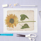 Blume 34 Dekopulationspapier Seidenpapier (Handwerk)