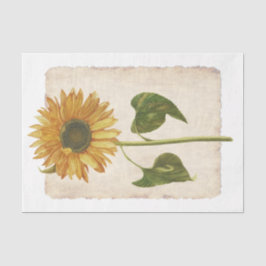 Blume 34 Dekopulationspapier Seidenpapier