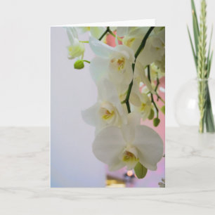 Blume #4124 karte