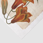 Blume 43 Tiger Lily Decoupage Tissue Seidenpapier (Ausschnitt)