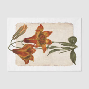 Blume 43 Tiger Lily Decoupage Tissue Seidenpapier