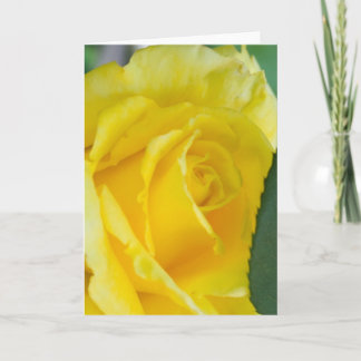 Blume #4453 karte