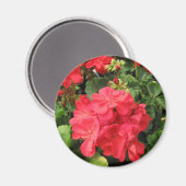 BLUME 4 MAGNET (Vorderseite/Rückseite)