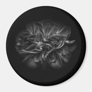 Blume 67 BW Magnet