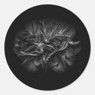 Blume 67 BW Runder Aufkleber