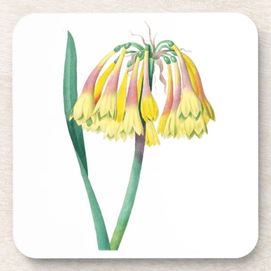 Blume: A003 Antique Pflanze - Getränkeuntersetzer (Vorderseite)