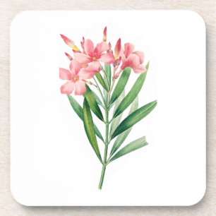 Blume: A005 Oleander - Getränkeuntersetzer