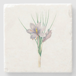 Blume: A007 Herbstkreuz - Steinuntersetzer
