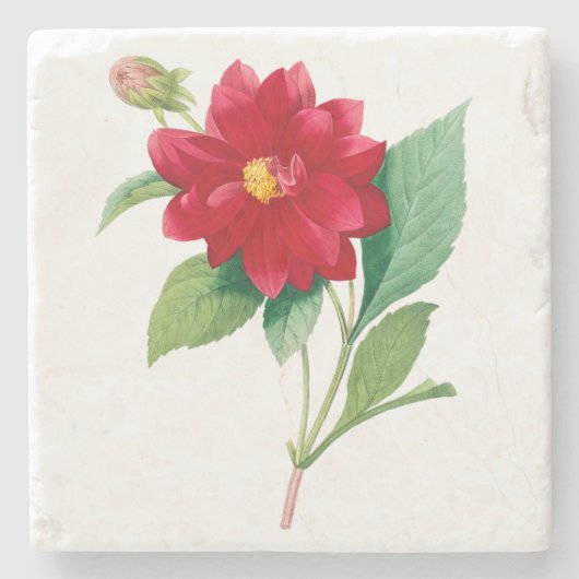 Blume: A010 Dhalia Doble - Steinuntersetzer (Vorderseite)