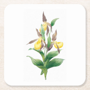 Blume: A011 Gelbe Dame Slipper - Rechteckiger Pappuntersetzer