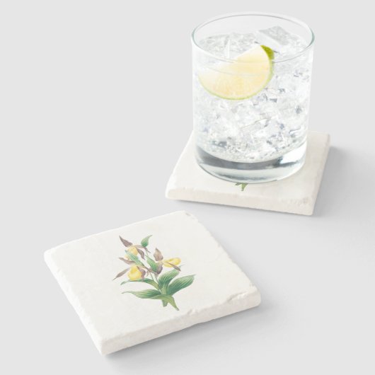 Blume: A011 Gelbe Dame Slipper - Steinuntersetzer (Seitenansicht)