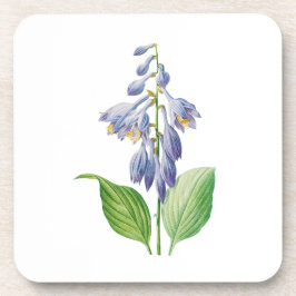 Blume: A012-Taglilie - Getränkeuntersetzer