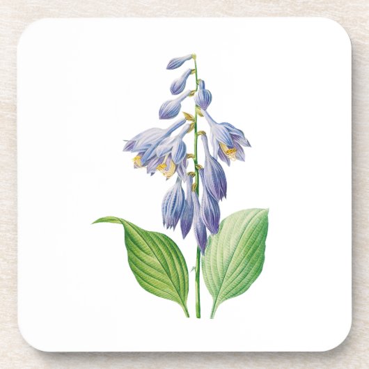 Blume: A012-Taglilie - Getränkeuntersetzer (Vorderseite)