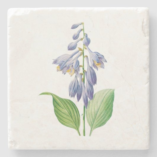 Blume: A012-Taglilie - Steinuntersetzer (Vorderseite)