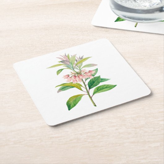 Blume: A013 Redvein Enkianthus - Rechteckiger Pappuntersetzer (angewinkelt)