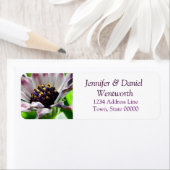 Blume Address Labels Daisy (Insitu)