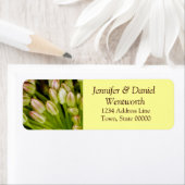 Blume Address Labels Tulips (Insitu)
