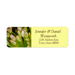 Blume Address Labels Tulips
