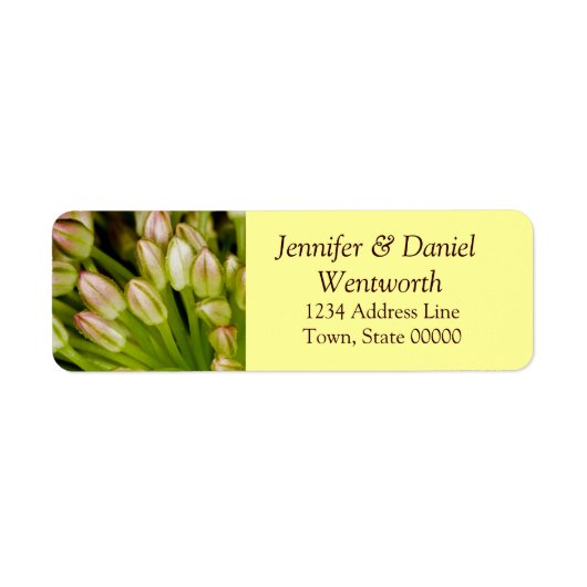 Blume Address Labels Tulips (Vorne)