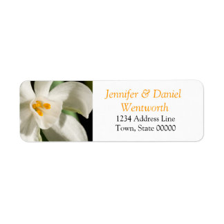 Blume Address Labels White Lily